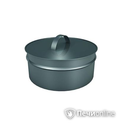 Заглушки Теплов и Сухов Заглушка ревизии Термо-Р 304 0.5 D220(120) в Пскове