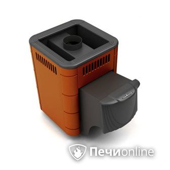 Дровяная банная печь TMF Оса Carbon терракота дверь антрацит в Пскове