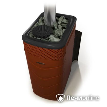 Дровяная банная печь TMF Гейзер XXL 2017 Inox Витра закрытая каменка терракота в Пскове